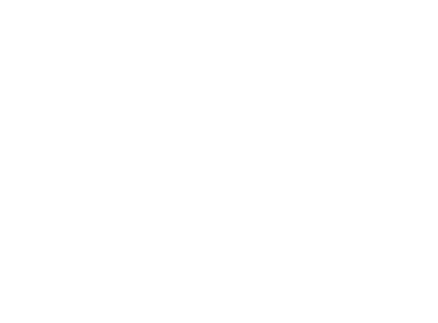 Logo ZKW