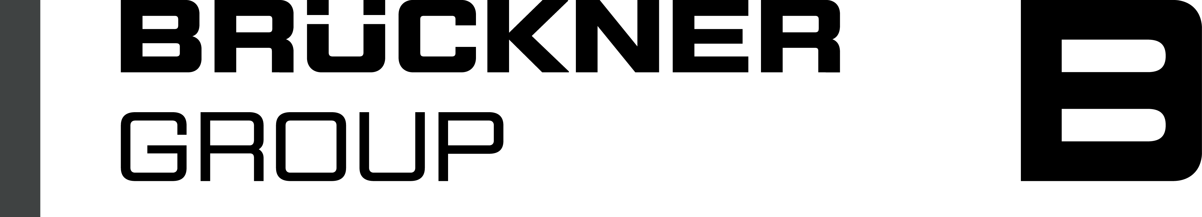Logo Brueckner group